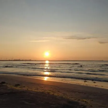 Mamaia Nord - Onix *